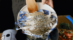 这里既发取海洋活动而构成的奇特风貌